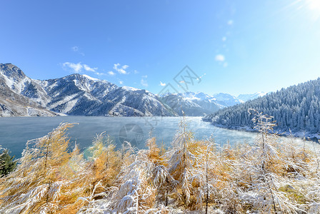 雪雾新疆天山雾凇背景