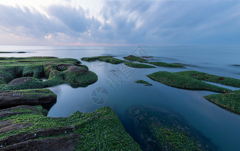 海岸风光绿石绿海苔高清图片