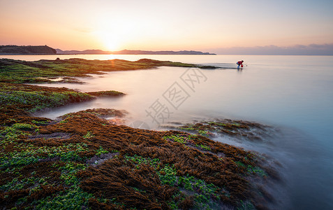 海岸风光海上日出海菜高清图片