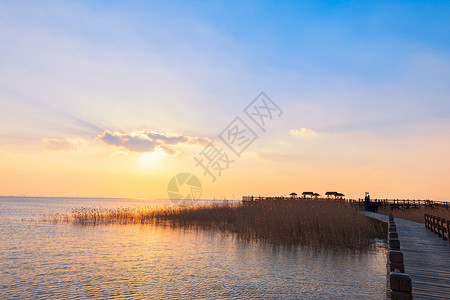 崇明东滩湿地上海崇明西沙湿地落日背景