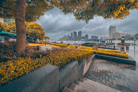  上海浦东滨江公园背景图片