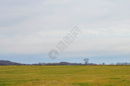 日本风筝日本北海道山地田野风光背景