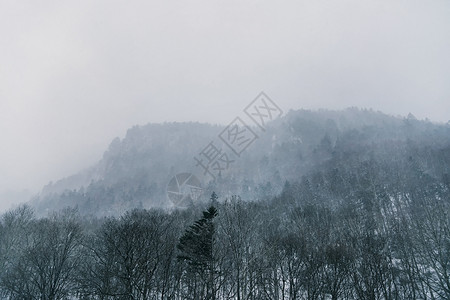 日本北海道层云峡雪景高清图片