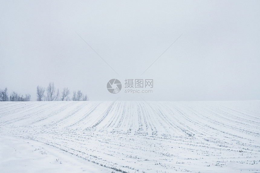 北海道冬天田野唯美风光图片