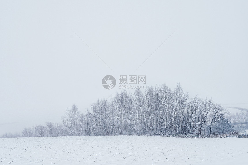 北海道冬天田野唯美风光图片