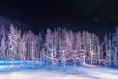 北海道美瑛地标青池高清图片