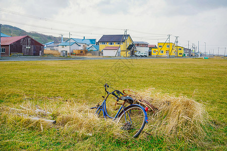 北海道的秋季田园风光图片