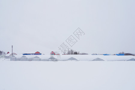 日本北海道富良野雪景图片