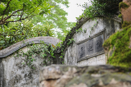 苏州拙政园小景背景图片