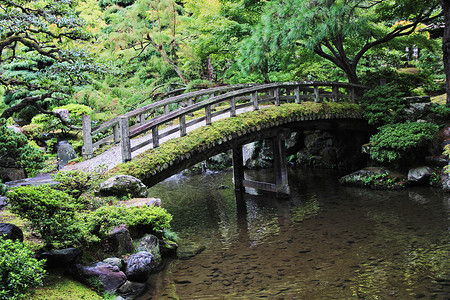 朴京都御所庭院背景