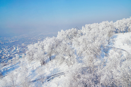 哈萨克斯坦冬季雾凇高清图片