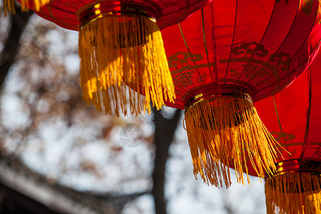 春节红灯笼背景图片