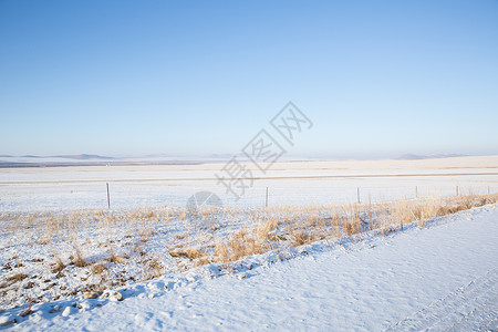 冬季内蒙古呼伦贝尔平原风光高清图片