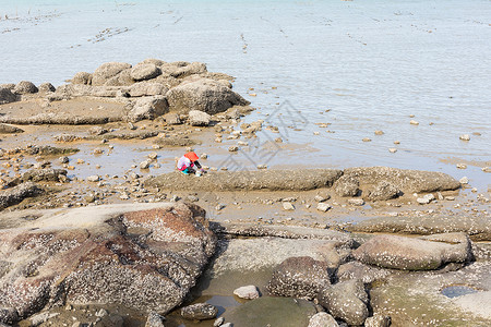 海蛎海滩水产养殖背景