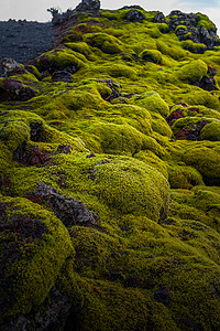 冰岛火山岩地质植被高清图片