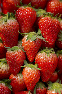 草莓红颜奶油草莓高清图片