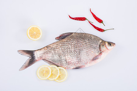 鱼肉素材新鲜的鱼背景