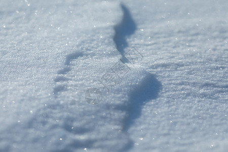 晶莹剔透的雪背景图片