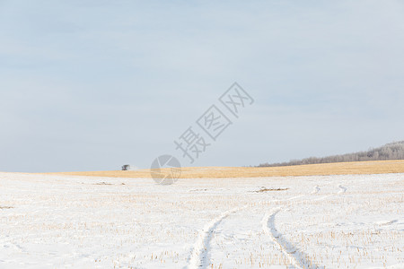 草原白雪覆盖冬季风光图片