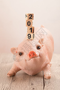2019猪年摆件图片