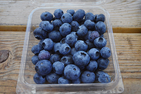 美国蓝莓图片