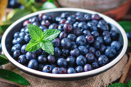 蓝莓味蓝莓采摘高清图片