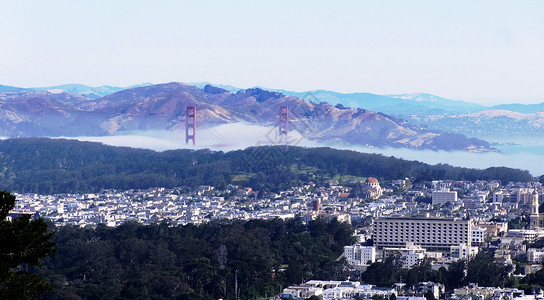 美国西部行旧金山雾锁金门桥背景