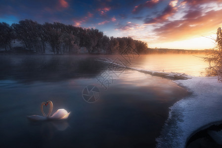 浮动的雪花梦幻天鹅湖背景