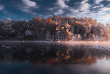 风景天鹅湖天鹅湖之晨背景