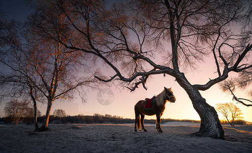 夕阳雪景冬天雪景风光背景