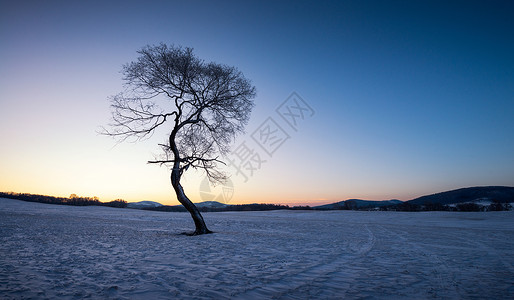 冬天雪景风光背景图片