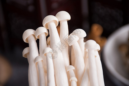 小松菇菌类食品白玉菇背景