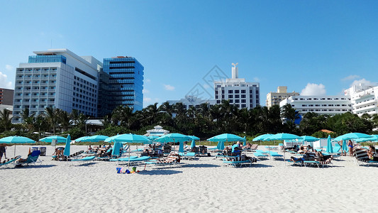 海滩日光浴美国迈阿密海滩背景