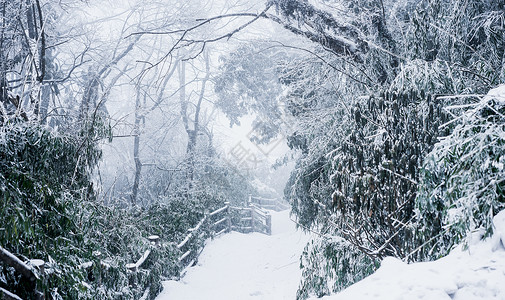 雪白冬天峨眉山雪景背景