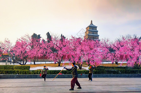 西安大雁塔广场晨练高清图片