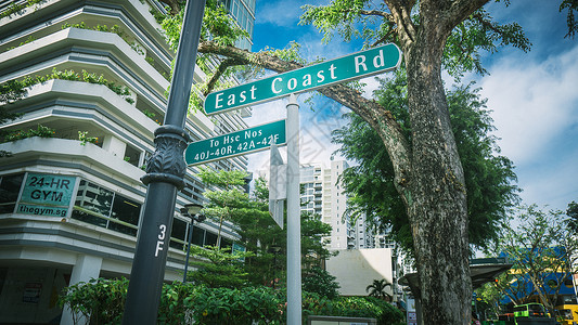 绿色路牌新加坡街景路牌背景