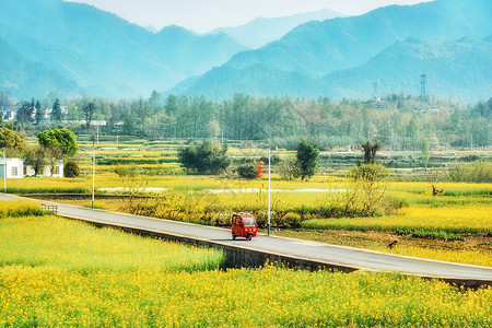 三轮车素材春天乡村自然风景背景