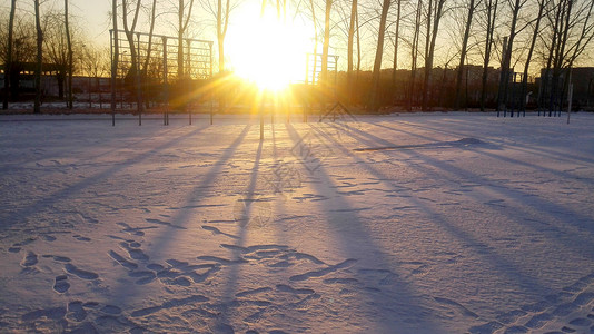 冬日暖阳穿过树林阳光高清图片