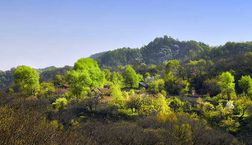 世外小山村绿树环绕荒村高清图片