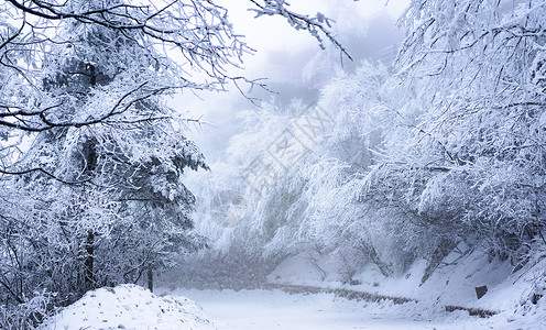 峨眉山雪景背景图片