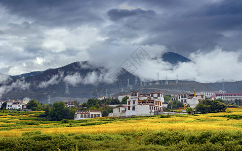 西藏青稞317国道美景背景