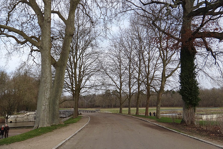 法国庄园法国法式城堡庄园道路背景