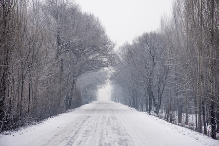 新疆冬季道路雪景图片