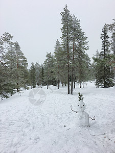 芬兰洛瓦涅米冰雪世界森林中的雪人图片