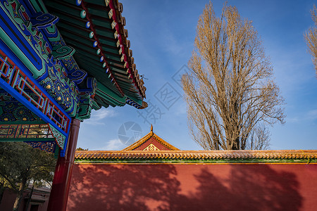 殿顶北京景山公园寿皇殿背景