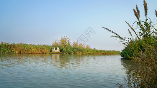 泗洪洪泽湖湿地公园背景