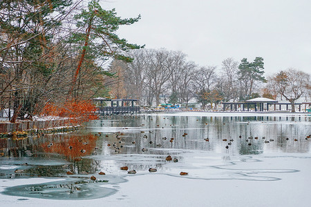 北海道旭川公园风光背景