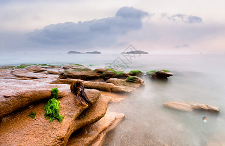 海岸绿苔背景图片