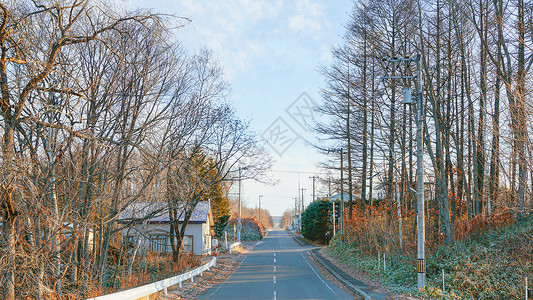 日本北海道阿寒摩周国立公园道路背景图片