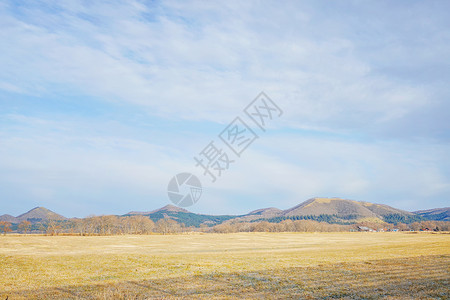 北海道牧场日本北海道阿寒国立公园自然风光背景